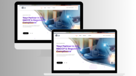 Website Development services