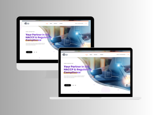 Website Development services